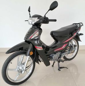 Luojia  LJ12528D Two wheeled motorcycles