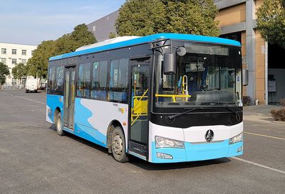 Wanshan  WS6855WEVJ0C Pure electric city buses