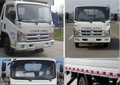 Foton  BJ1043V9JEAA Truck