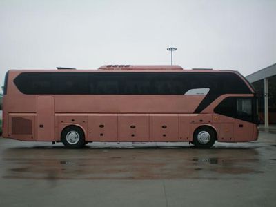 Jinlong  XMQ6125AYD3C coach