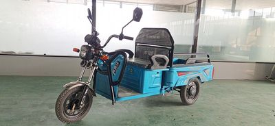 Fushengwo  FSW1000DZH6 Electric tricycle