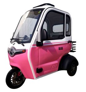 Stepper  TT2000DZK Electric tricycle