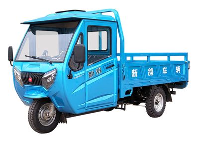 New Pigeon  XG3000DZH10 Electric tricycle