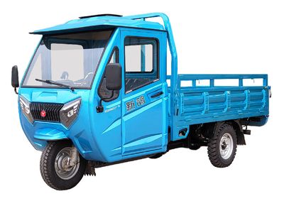 New Pigeon  XG3000DZH10 Electric tricycle