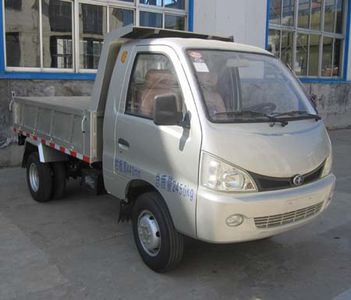 Black Panther YTQ3026D30FV Dump truck