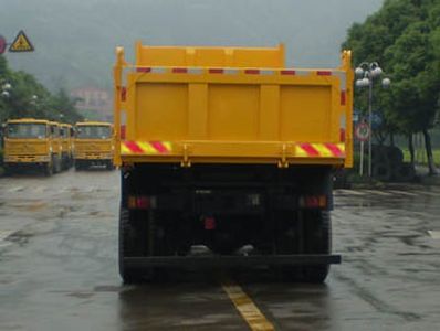 Hongyan  CQ3314TTG466B Dump truck