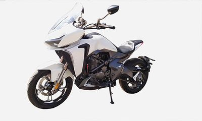 Shengshi  ZT300VX Two wheeled motorcycles