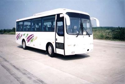 Heke  HK6860 coach