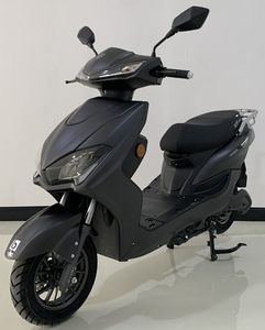 Green Qi  LQ1500DT3 Electric two wheeled motorcycle