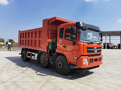 Yanlong  ZYL3250G5D1 Dump truck