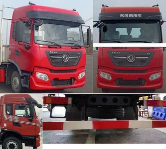 Dongfeng  DFH1110E Truck