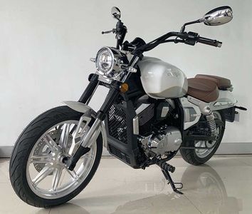 Longjia  LJ2502V Two wheeled motorcycles