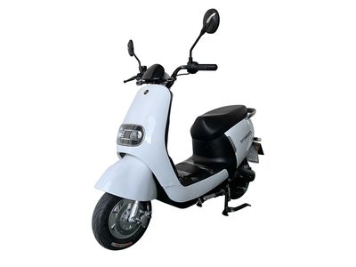 Dayang  DY500DQT Electric two wheeled light motorcycle