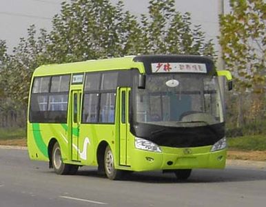 Shaolin  SLG6740CGR City buses