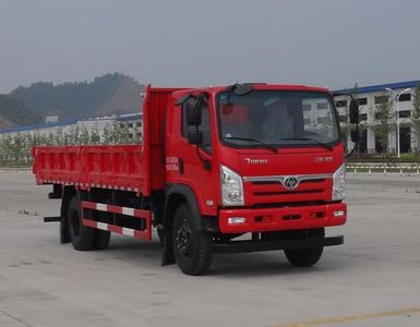 Shitong  STQ3162L10Y2N5 Dump truck