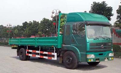 Hongyan  CQ1163TJG501 Truck