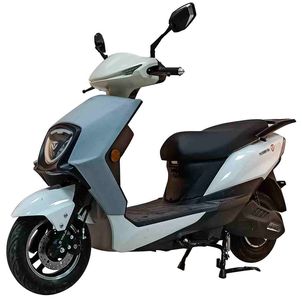 Tailing  TL1000DT26 Electric two wheeled motorcycle