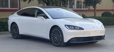 Dayun  CGC7000BEV2J10 Pure electric sedan