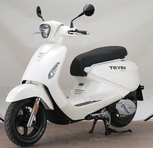 Tianying  TY50QT66D moped with two wheels 