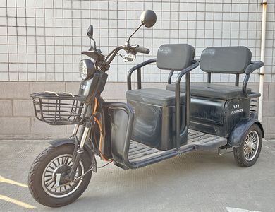 Feijin Ling  FL1200DZK Electric tricycle