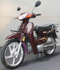 Honghonglie  HL1105T Two wheeled motorcycles