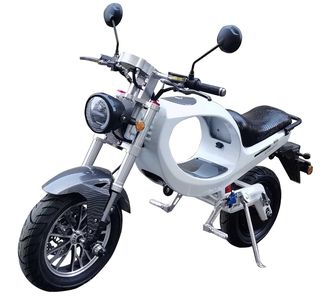 Julong  JL1300DT5 Electric two wheeled motorcycle