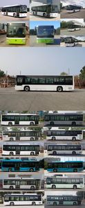 Foton  BJ6105EVCA53 Pure electric city buses