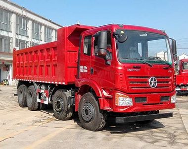 Dayun  DYZ3311D5FB Dump truck