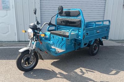 Biao Peng  BP1000DZHA Electric tricycle