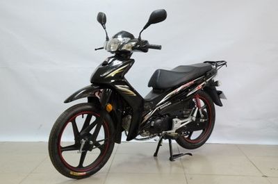 Dayang  DY11028M Two wheeled motorcycles