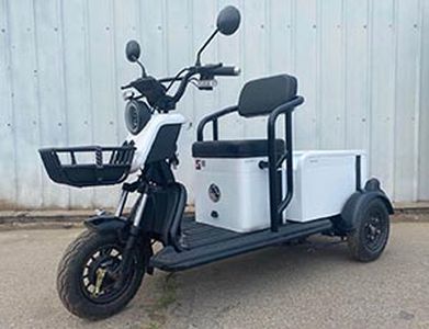 Wanshida  WSD500DQZ4 Electric three wheeled light motorcycle