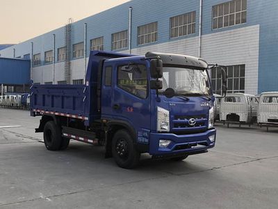 Shifeng  SSF3046DDP43CW Dump truck