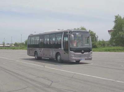 Huanghai  DD6119K62 coach