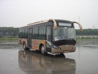 Yutong  ZK6896HGA City buses