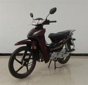 Silver Steel Xia  YG1109A Two wheeled motorcycles