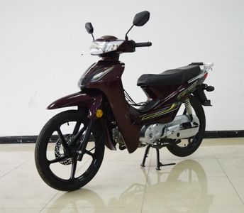 Silver Steel Xia  YG1109A Two wheeled motorcycles