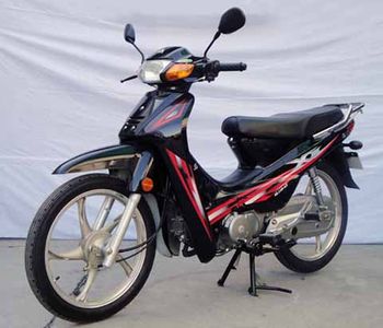 Sanling  SL1106T Two wheeled motorcycles