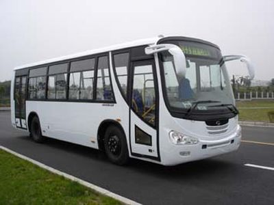 Hengtong Bus CKZ6951NB coach