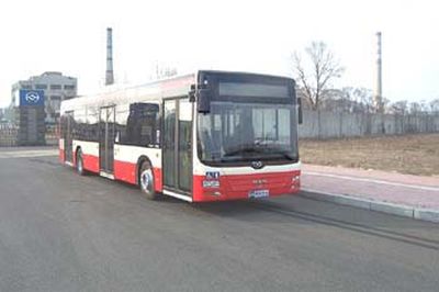 Huanghai  DD6127S01 City buses