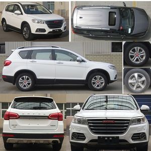 Haval CC6461RM2P multi-purpose vehicle 