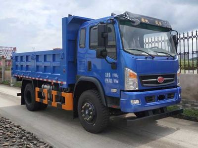 Qinji  LSC3120B301 Dump truck