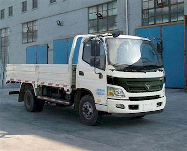 Foton  BJ1109VEJEDFA Truck