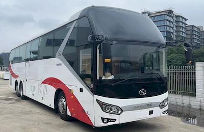 Jinlong XMQ5200XSWDBusiness vehicle