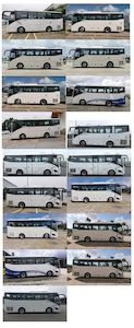 Jinlong  XMQ6825CYD6C1 coach