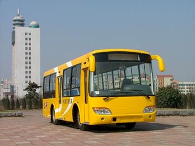 Feiyan  SDL6900G City buses