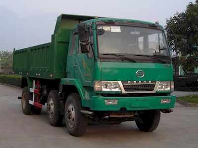 Fuda FZ3160MDump truck