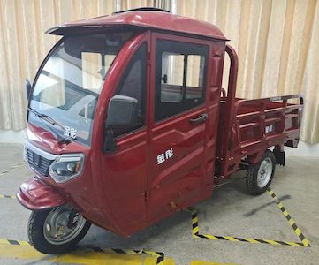 Jintong  JT1200DZH6B Electric tricycle