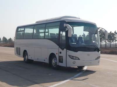 Elephant  SXC6900C coach