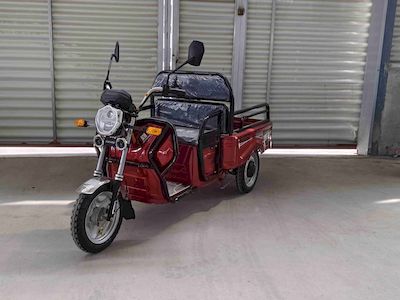 Sushang  SS1000DZH2 Electric tricycle