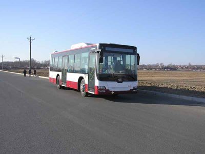 CSR Times TEG6109NG01 City buses